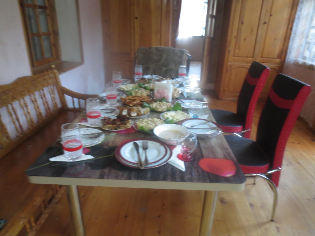 Irma Beso & Aleko Khergianis Guesthouse Mestia Extérieur photo